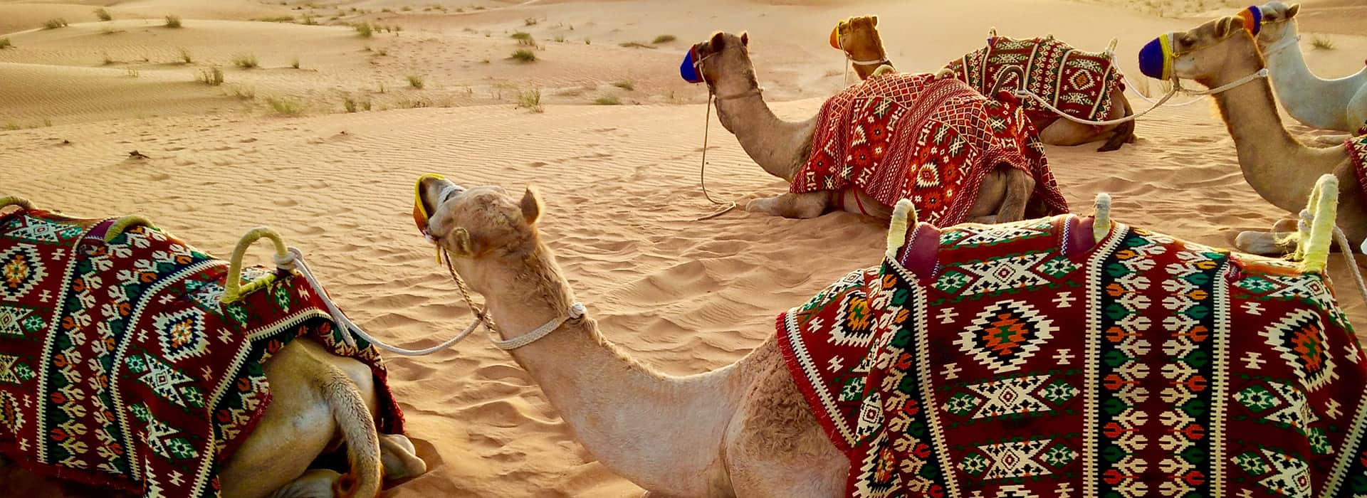 Reisen in die Vereinigten Arabischen Emirate - Massgeschneiderte Reisen in die Emirate - Harry Kolb AG - Tourismus