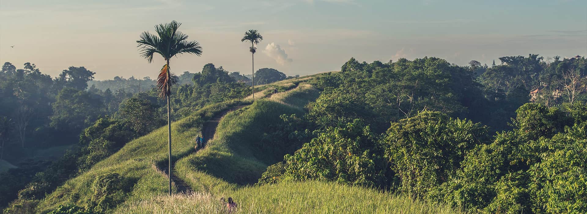 Indonesien-Reisen - Individuell gestaltete Indonesienreisen - Harry Kolb AG - Tourismus