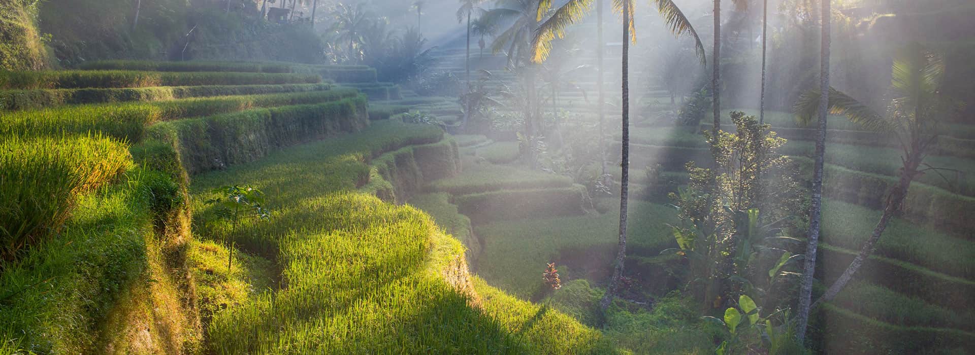 Indonesien-Reisen - Individuell gestaltete Indonesienreisen - Harry Kolb AG - Tourismus