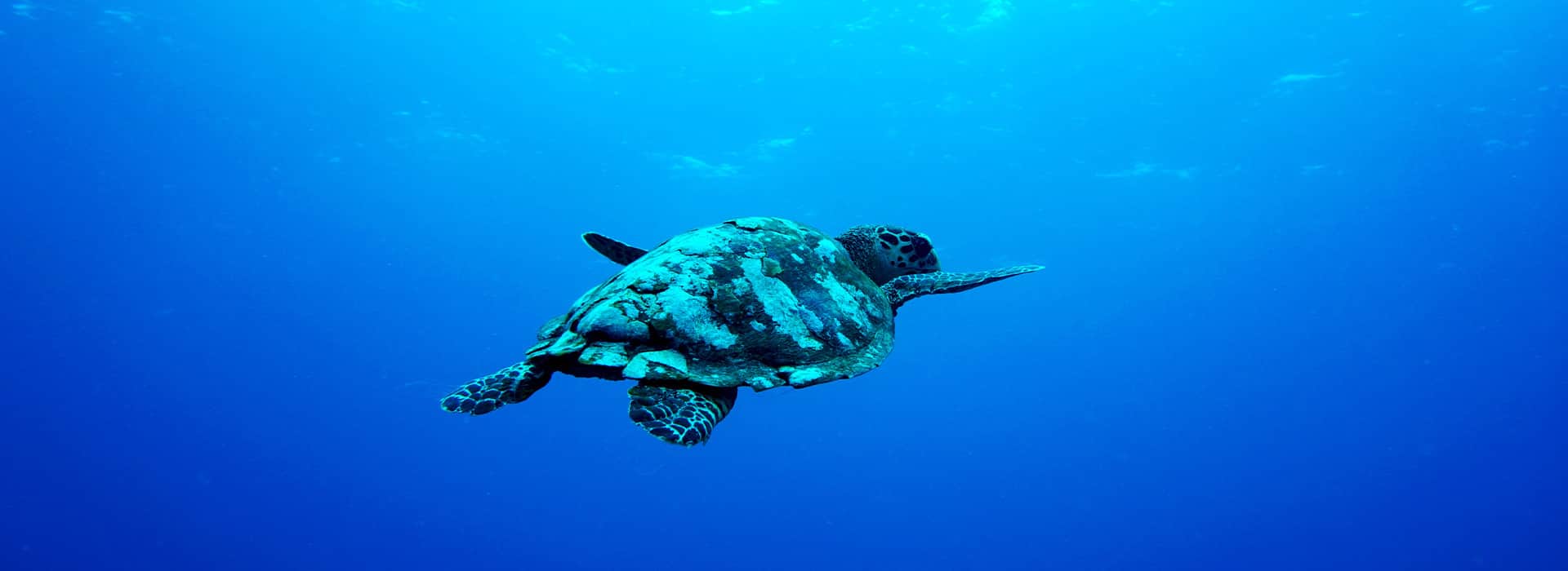 Indonesien-Reisen - Individuell gestaltete Indonesienreisen - Harry Kolb AG - Tourismus