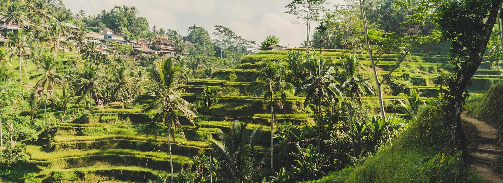Indonesien-Reisen - Individuell gestaltete Indonesienreisen - Harry Kolb AG - Tourismus
