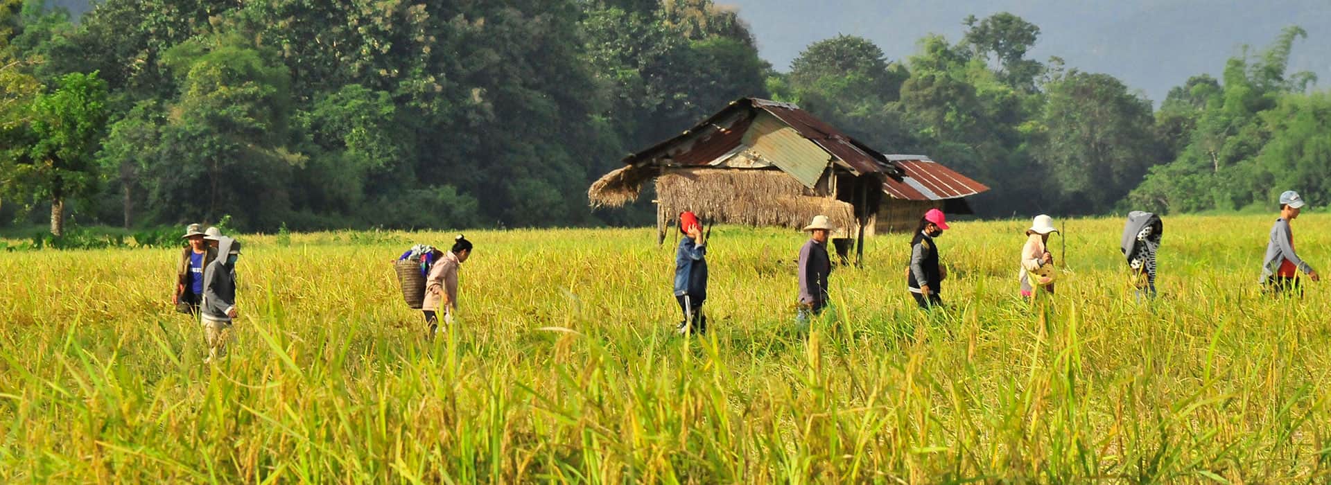 Laos-Reisen - Massgeschneiderte Reisen nach Laos - Harry Kolb AG - Tourismus