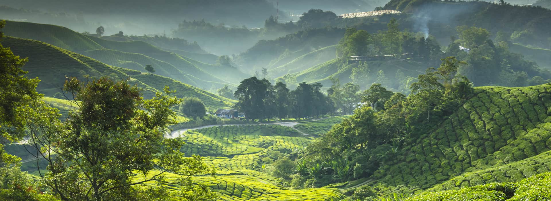 Malaysia-Reisen - Individuell gestaltete Malaysiareisen - Harry Kolb AG - Tourismus
