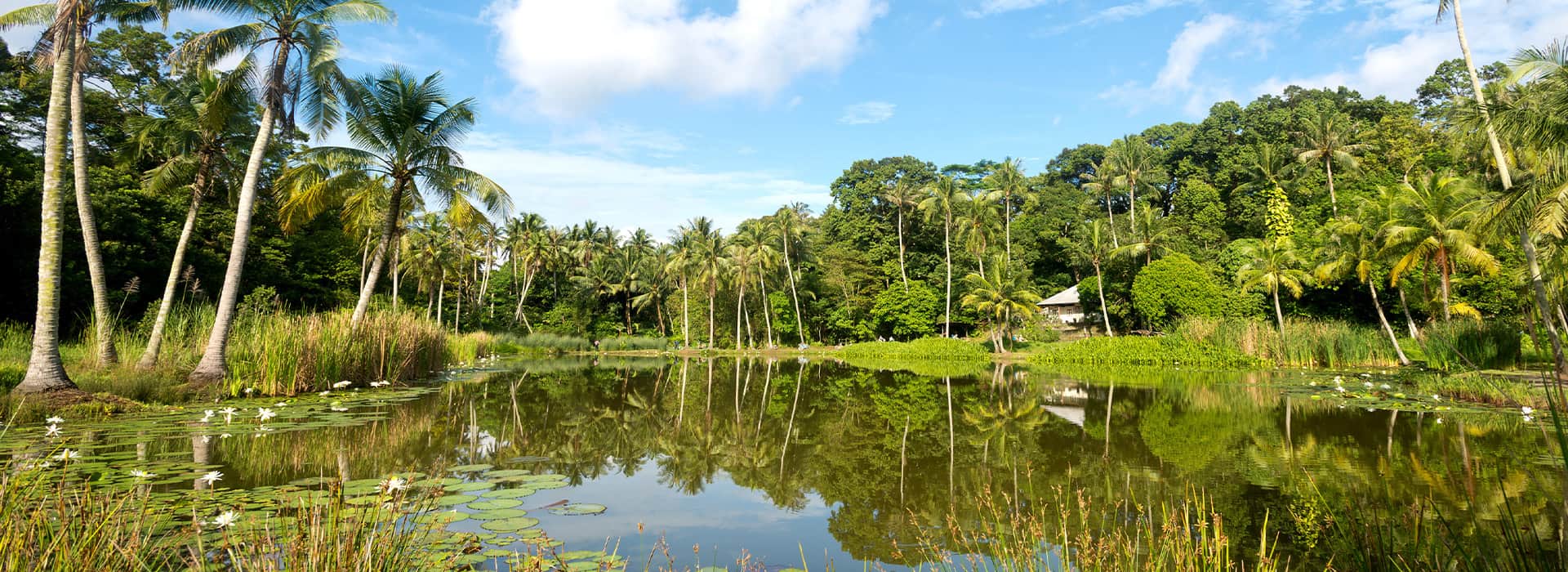 Reisen nach Singapur - Individuelle Singapur-Reisen - Harry Kolb AG - Tourismus