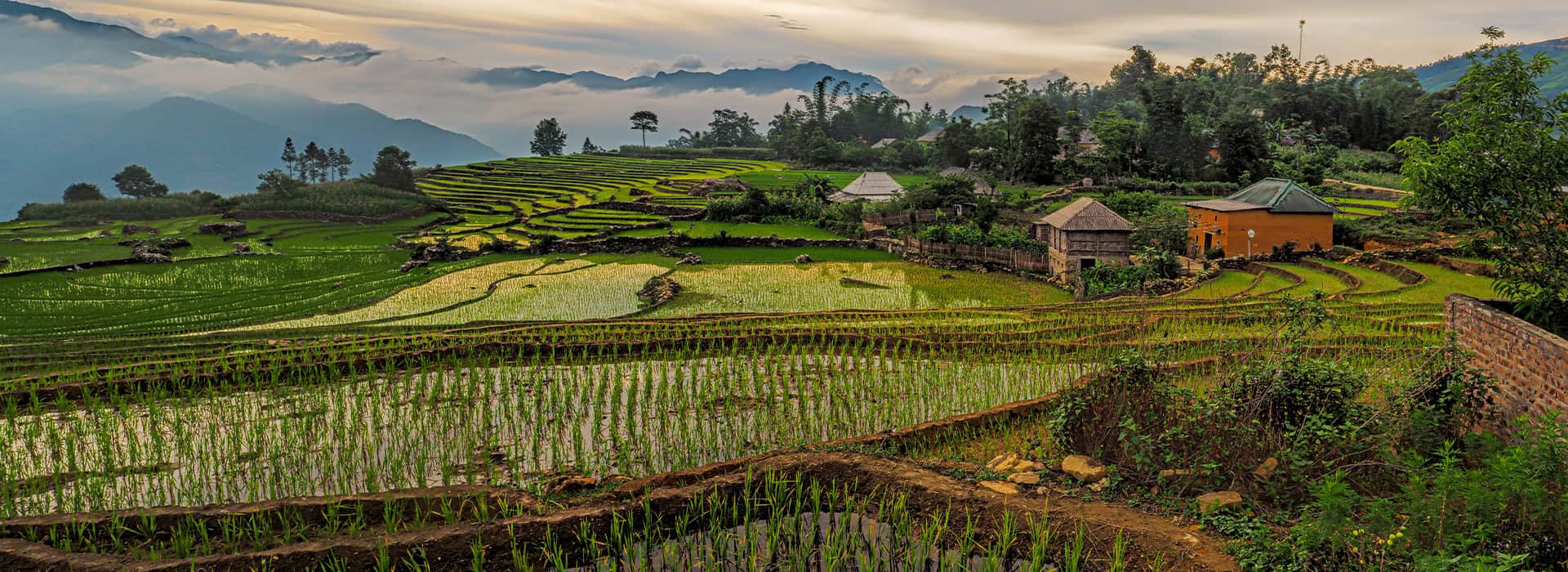 Vietnam-Reisen - Massgeschneiderte Reisen nach Vietnam - Harry Kolb AG - Tourismus