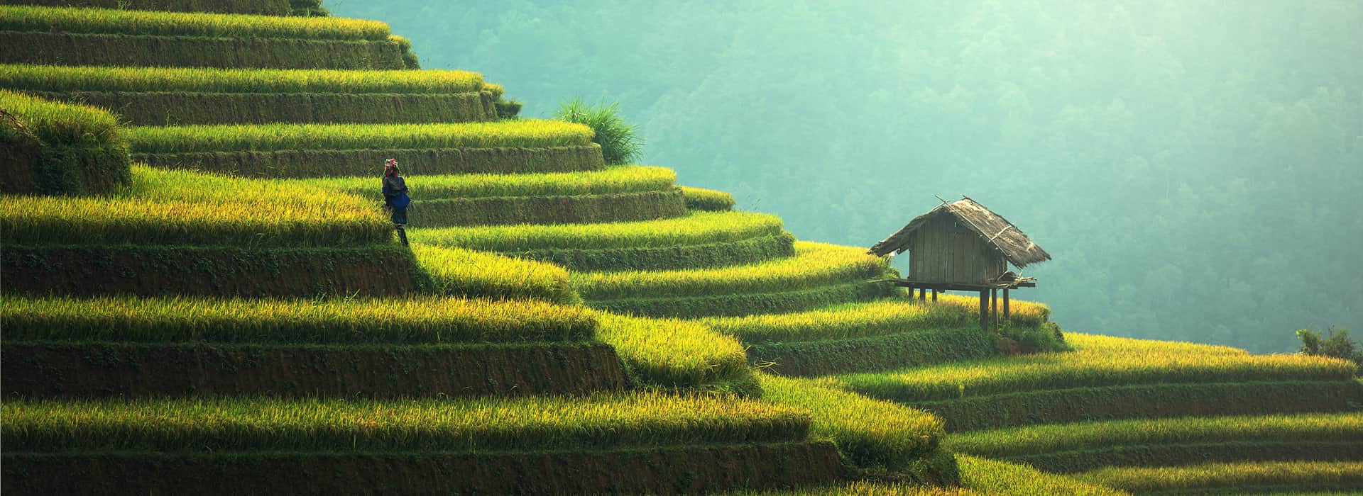 Vietnam-Reisen - Massgeschneiderte Reisen nach Vietnam - Harry Kolb AG - Tourismus