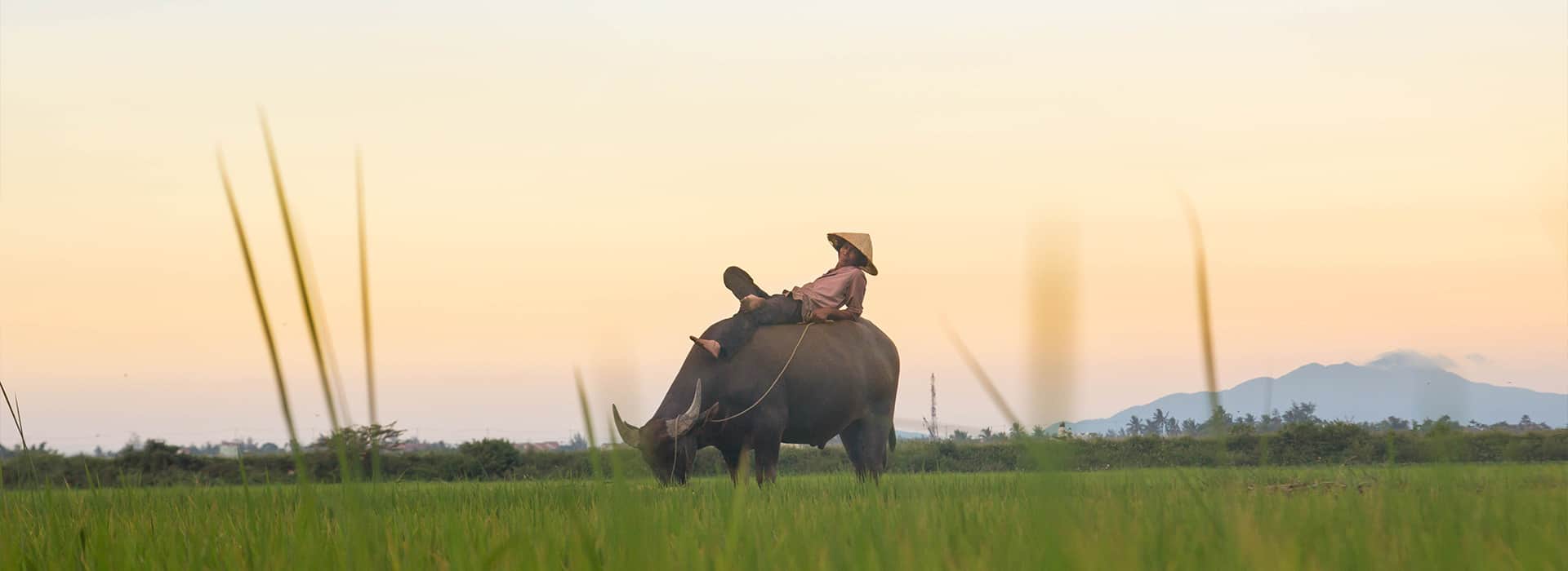 Vietnam-Reisen - Massgeschneiderte Reisen nach Vietnam - Harry Kolb AG - Tourismus