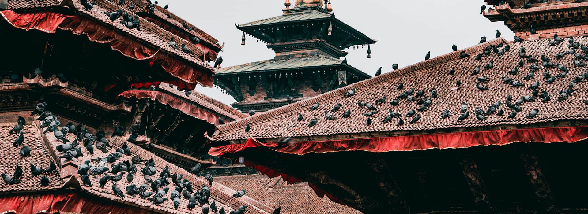 Nepal-Reisen - Massgeschneiderte Reisen nach Nepal - Harry Kolb AG - Tourismus
