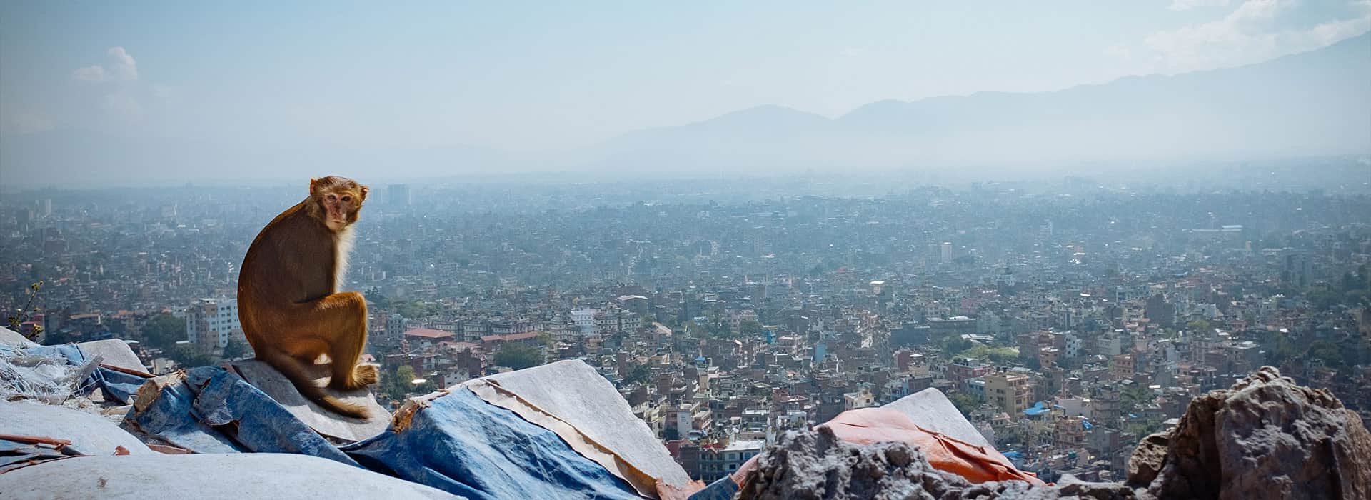 Nepal-Reisen - Massgeschneiderte Reisen nach Nepal - Harry Kolb AG - Tourismus